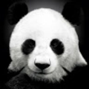 Meet your Posher, Yuma